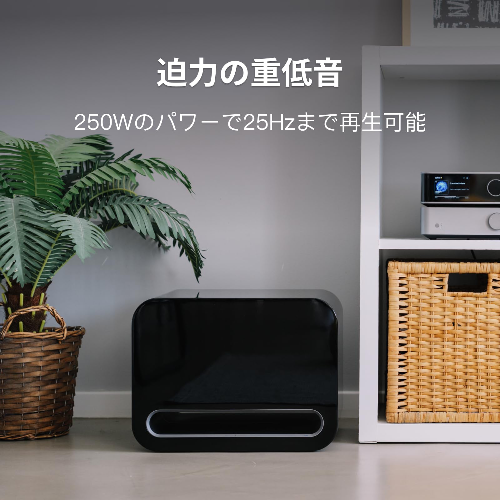 Amazon.co.jp: 【直輸入品】WiiM Sub Pro – 8インチ 250W ワイヤレス